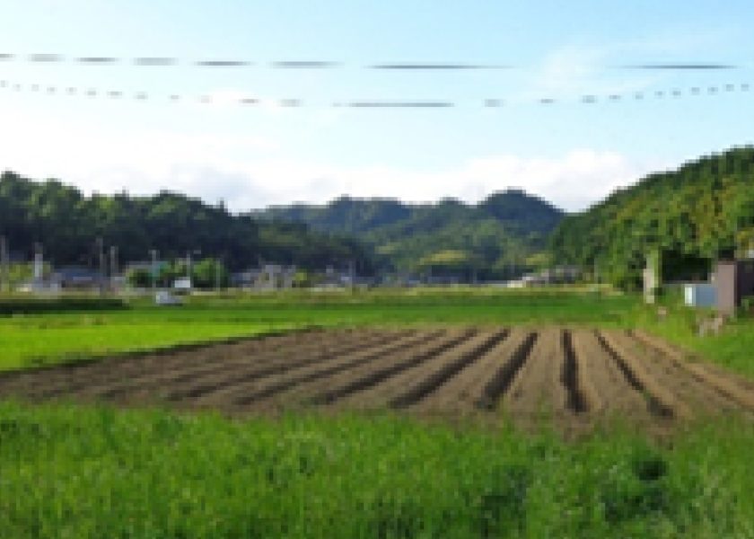 豊かな田園風景