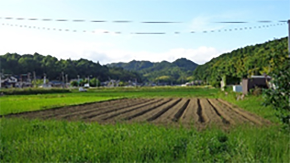 綾部市街から由良川大橋を超え北部へ進むと有岡町の入り口に入ります。				
綾部の玄関口、舞鶴若狭道綾部インターチェンジが町の中心部に位置しています。				
有岡町は、里町を超え小呂、星原へ通じる南北に長い町です。86世帯、約270名余が住んでいます。
住民の平均年齢は58歳、少子高齢化が進んでいます				
				
町の運営を行うありおか会館を拠点とし近くには、二宮神社が地区民を守っています				
				
地区内には、吉美こども園、吉美小学校があります、又近くには京都府/綾部工業団地が				
あり、2000名以上の方が勤めておられます。

高速道路で京都、大阪方面へ80分、市街のスーパーへも近く豊かな自然と田園風景を残し、こうのとりも飛来する環境移住希望者には大変人気のある町です。
近年、東京エリアより２世帯が移住されました。