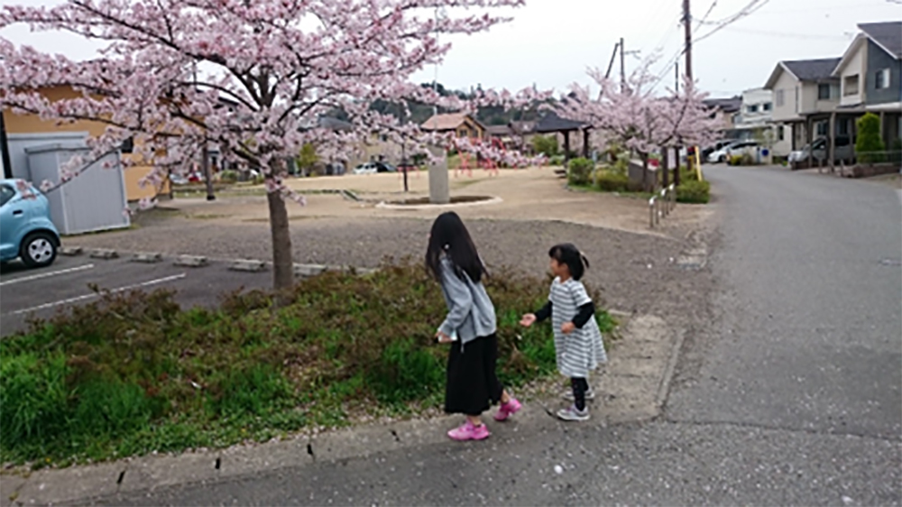 桜が丘二丁目は吉美地区の桜が丘団地を横断するさくら通りの南側、下八田の町並みを見下ろす小高い丘の上にある自然豊かな閑静な住宅街です。
丘の上に位置する住宅街ならではの、季節の移ろいを身近に感じられる自然豊かな環境は常に癒しを感じられ、心豊かに居住できる生活拠点になっております。

一年のスタートである春には桜が丘の名の通り、桜の花が咲き誇る桜通りの桜並木は知る人ぞ知る、隠れた桜の名スポットとなっております。
また、桜が丘二丁目の中心部にあるせせらぎ公園は住人のいこいの場所になっております。

ここ数年、猛暑の夏の日、高台に位置する桜が丘は風通しもよく夕立後にはひと時の涼をもたらせてくれます。

秋の夜には澄んだ空気の下、天空を見上げれば満天の星空、そして中秋の名月を愛でることができます。